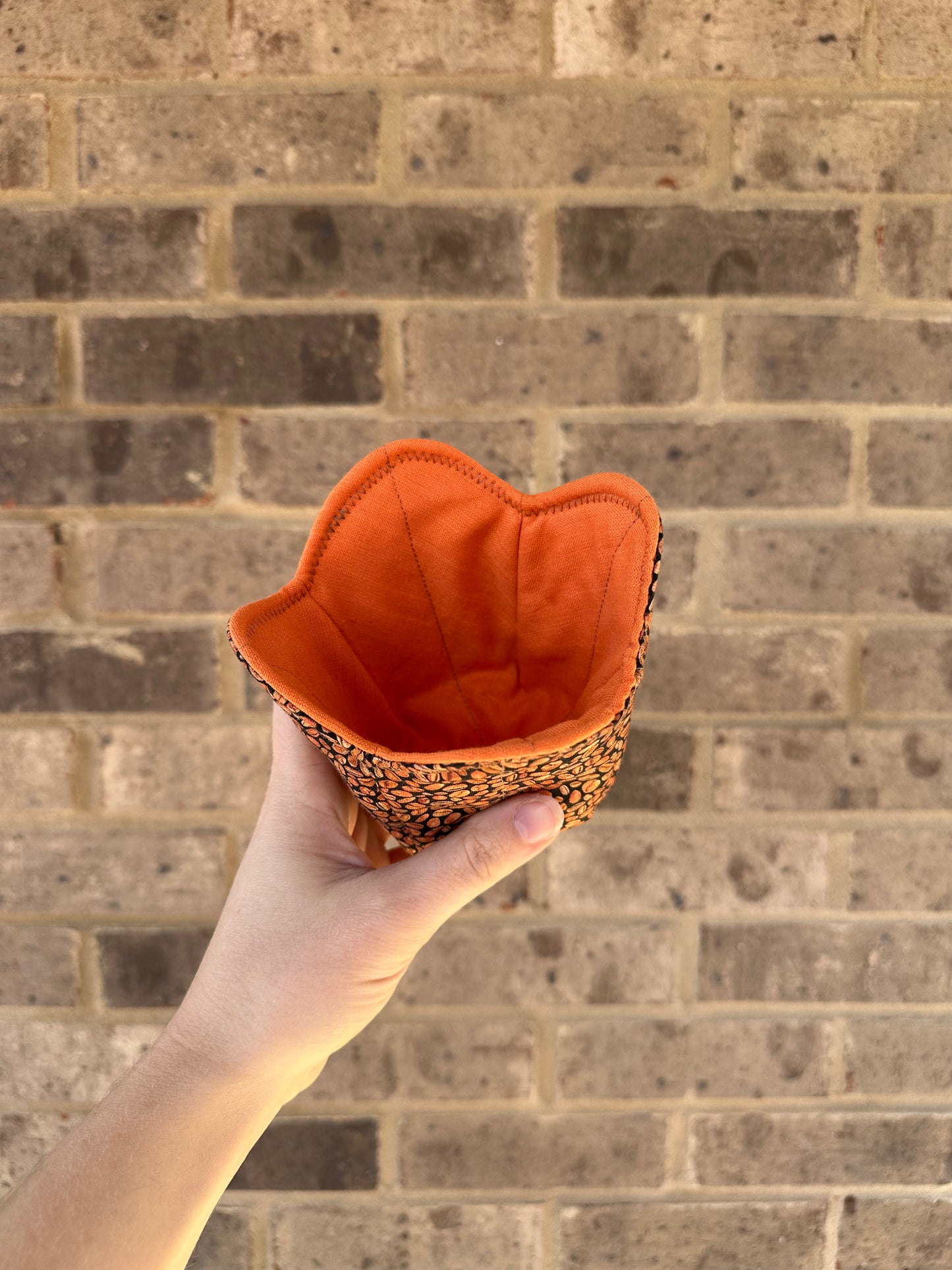 Coffee Beans Pint Size Cozy