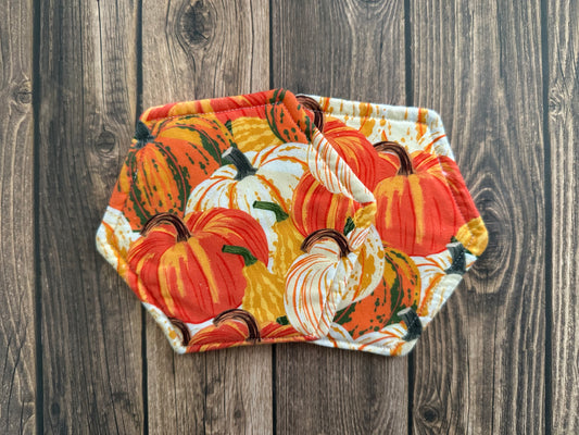 Pumpkin Patch Coasters - Sets of 2